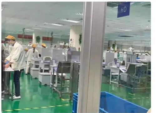 当医学诊断“电子化” 护理学生被送电子厂的荒诞教育困局